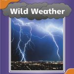 خرید و دانلود نسخه کامل کتاب Oxford Reading Tree: Stage 6: Fireflies: Wild Weather (Book)