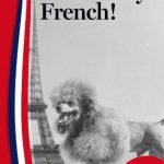 خرید و دانلود نسخه کامل کتاب Pardon My French!