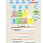 خرید و دانلود نسخه کامل کتاب Past Perfect Tense