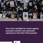 خرید و دانلود نسخه کامل کتاب Peru in the spotlight for crimes against humanity: murders and systematic repression in the 2022-2023 protests