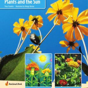 خرید و دانلود نسخه کامل کتاب Plants and the Sun