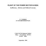 خرید و دانلود نسخه کامل کتاب Plight of the Power Sector in India