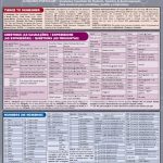 خرید و دانلود نسخه کامل کتاب Portuguese Vocabulary