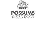 خرید و دانلود نسخه کامل کتاب Possums and Bird Dogs: Australian Army Aviation’s 161 Reconnaissance Flight in South Vietnam