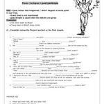 خرید و دانلود نسخه کامل کتاب Present Perfect: Life Experience Worksheet