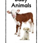 خرید و دانلود نسخه کامل کتاب Reading a-z: Baby Animals (Book)