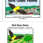خرید و دانلود نسخه کامل کتاب Reading a-z: Bird Go Home – Level A (Color Cover – Story Book – Lesson Plan – Worksheets – Flash Show)