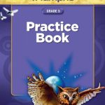 خرید و دانلود نسخه کامل کتاب Reading Triumphs Practice Book Grade 5