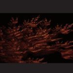 خرید و دانلود نسخه کامل کتاب Reason to Write: Applying Critical Thinking to Academic Writing