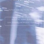 خرید و دانلود نسخه کامل کتاب Reinventing Ireland: Culture, Society and the Global Economy (Contemporary Irish Studies)