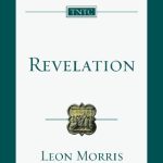 خرید و دانلود نسخه کامل کتاب Revelation. An Introduction and Commentary