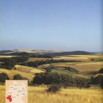 خرید و دانلود نسخه کامل کتاب Rheinland-Pfalz (Deutsche Küche)