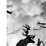 خرید و دانلود نسخه کامل کتاب Rozmyślanie