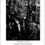 خرید و دانلود نسخه کامل کتاب Rudolf Bultmanns Werk Und Wirkung