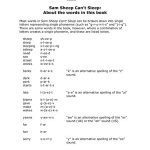 خرید و دانلود نسخه کامل کتاب Sam sheep can’t sleep: About the words in this book