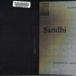 خرید و دانلود نسخه کامل کتاب SANDHI The Theoretical, Phonetic, and Historical Basis of Word Junction in Sanskrit