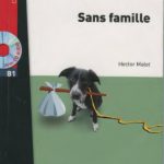 خرید و دانلود نسخه کامل کتاب Sans famille