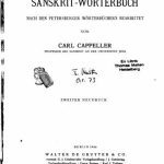 خرید و دانلود نسخه کامل کتاب Sanskrit-Wörterbuch