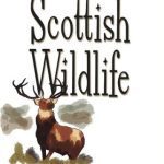 خرید و دانلود نسخه کامل کتاب Scottish Wildlife (Say It in Scots!)