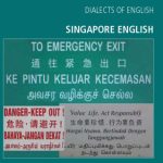خرید و دانلود نسخه کامل کتاب Singapore English (Dialects of English)