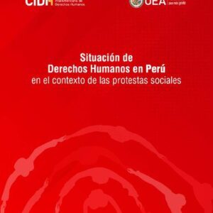 خرید و دانلود نسخه کامل کتاب Situación de Derechos Humanos en Perú en el contexto de las protestas sociales