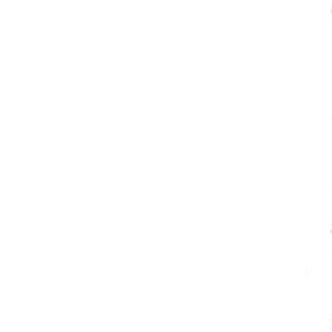 خرید و دانلود نسخه کامل کتاب Slavische Sprachwissenschaft II