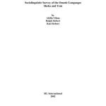 خرید و دانلود نسخه کامل کتاب Sociolinguistic Survey of the Omotic Languages Sheko and Yem