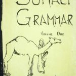خرید و دانلود نسخه کامل کتاب Somali Grammar
