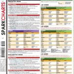 خرید و دانلود نسخه کامل کتاب Spanish Verbs SparkCharts