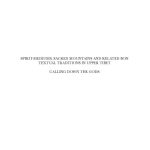 خرید و دانلود نسخه کامل کتاب Spirit-mediums, Sacred Mountains and Related Bon Textual Traditions in Upper Tibet: Calling Down the Gods (Brill’s Tibetan Studies Library 8)