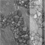 خرید و دانلود نسخه کامل کتاب Stein pa stein: Norsk med samfunnskunnskap for voksne innvandrere (Workbook)