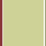 خرید و دانلود نسخه کامل کتاب Stereoselective Synthesis: A Practical Approach, Second Edition