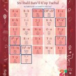 خرید و دانلود نسخه کامل کتاب Stsʼibalil Batsʼil Kʼop Tseltal. Alfabeto de la lengua tseltal