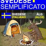 خرید و دانلود نسخه کامل کتاب Svedese Semplificato – Picture Dictionary (Italian Edition)
