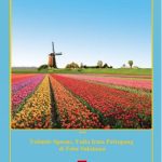 خرید و دانلود نسخه کامل کتاب Tata Bahasa Belanda praktis