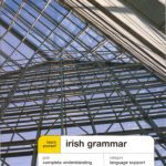 خرید و دانلود نسخه کامل کتاب Teach Yourself Irish Grammar