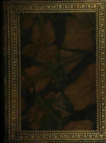 خرید و دانلود نسخه کامل کتاب Tesoro de La Lengva Gvarani_68ba2db33c8e7.jpeg خرید و دانلود نسخه کامل کتاب Tesoro de La Lengva Gvarani