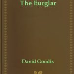 خرید و دانلود نسخه کامل کتاب The Burglar (Vintage Crime Black Lizard)