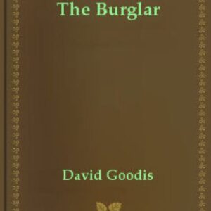 خرید و دانلود نسخه کامل کتاب The Burglar (Vintage Crime Black Lizard)