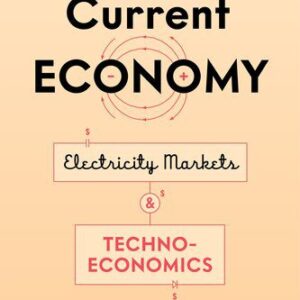 خرید و دانلود نسخه کامل کتاب The Current Economy: Electricity Markets and Techno-Economics