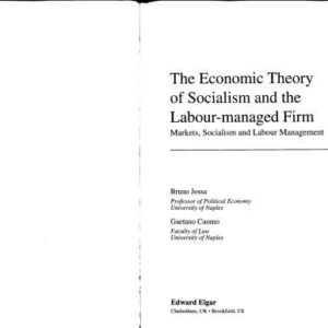 خرید و دانلود نسخه کامل کتاب The Economic Theory of Socialism and the Labour-Managed Firm