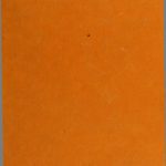 خرید و دانلود نسخه کامل کتاب The Economies of Africa