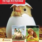 خرید و دانلود نسخه کامل کتاب The Eggs Are Hatching!