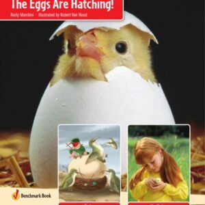 خرید و دانلود نسخه کامل کتاب The Eggs Are Hatching!