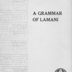 خرید و دانلود نسخه کامل کتاب The grammar of Lamani