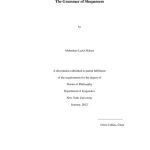 خرید و دانلود نسخه کامل کتاب The Grammar of Shupamem