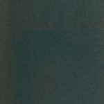 خرید و دانلود نسخه کامل کتاب The History of the Dominican Order. Vol. 2. Intellectual and Cultural Life to 1500