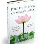 خرید و دانلود نسخه کامل کتاب The Little Book of Mindfulness
