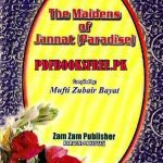 خرید و دانلود نسخه کامل کتاب The Maidens of Jannat (Paradise) and Other Bounties