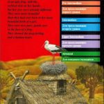 خرید و دانلود نسخه کامل کتاب The Marsh King’s Daughter